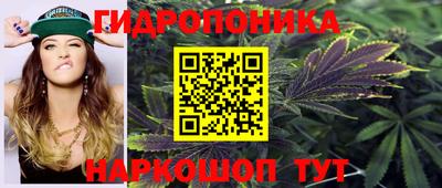 скорость Гусь-Хрустальный