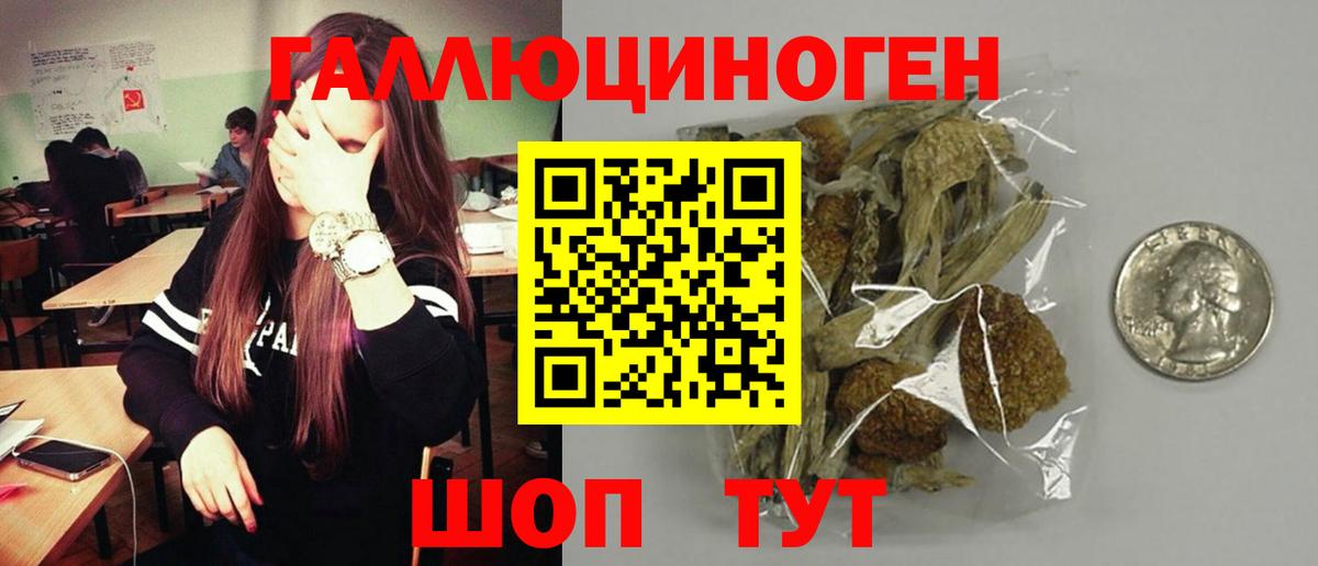 купить закладку  Вход с VPN  Москва  Псилоцибиновые грибы Cubensis  Псилоцибиновые грибы прущие грибы 